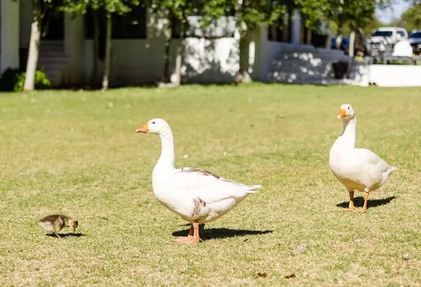 ペンション Mont D Or Monte Bello Estate