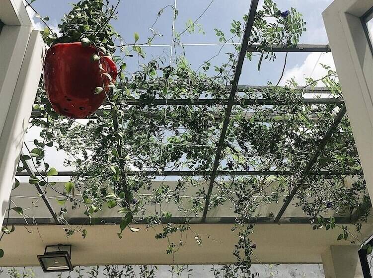 پانسیون Hello Saigon Homestay