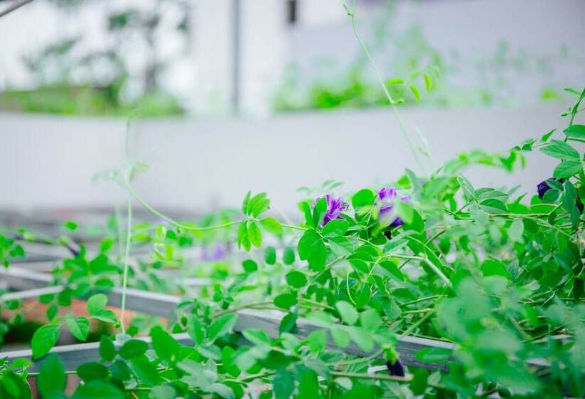 پانسیون Hello Saigon Homestay