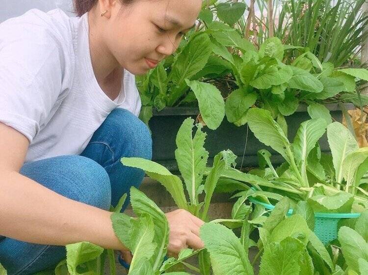 پانسیون Hello Saigon Homestay