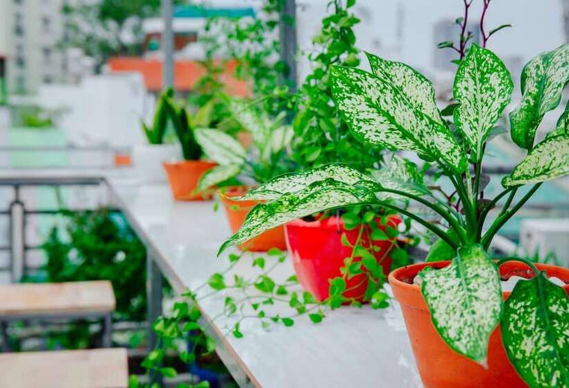 پانسیون Hello Saigon Homestay