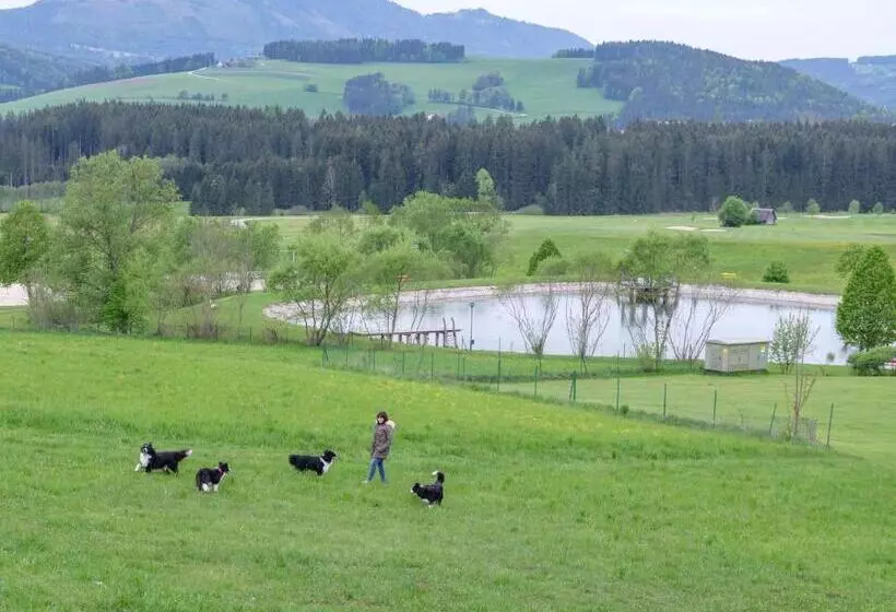 Almenland Apartment Passail