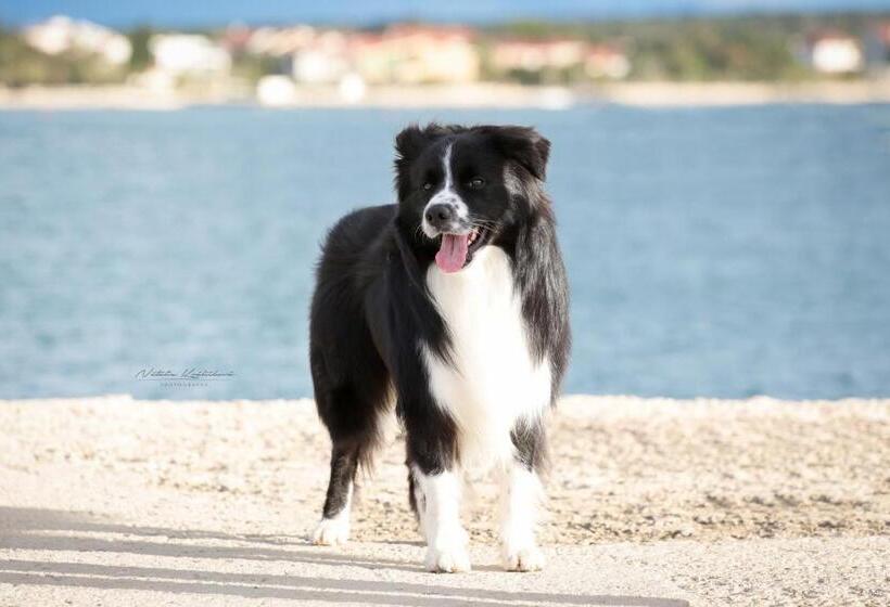 Almenland Apartment Passail