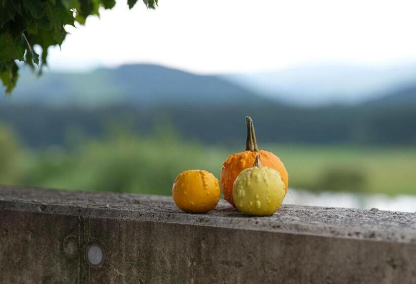 Almenland Apartment Passail