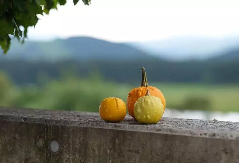 Almenland Apartment Passail