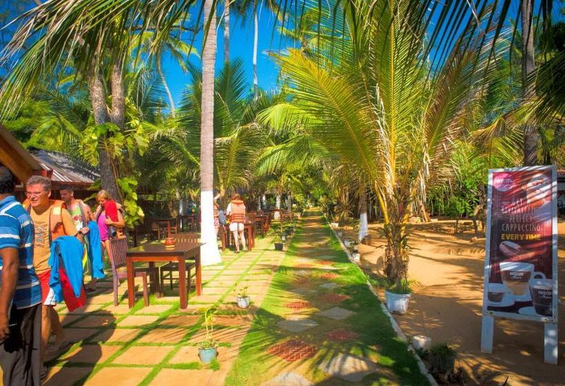 فندق Coconut Beach Lodge