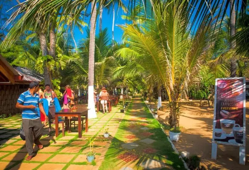 هتل Coconut Beach Lodge