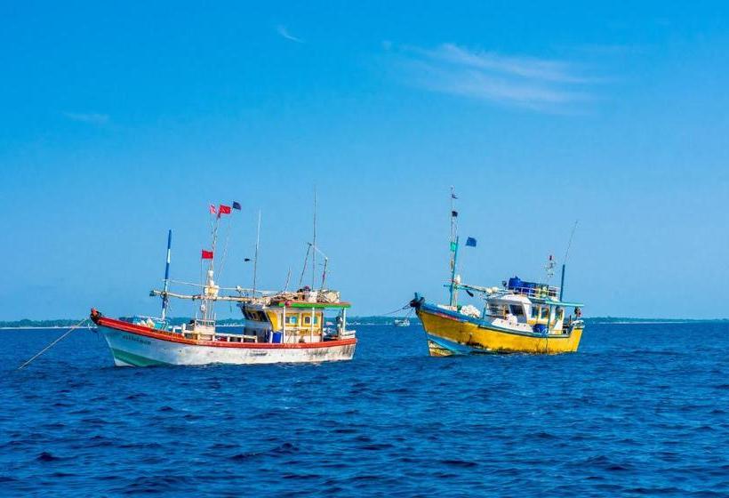 فندق Coconut Beach Lodge