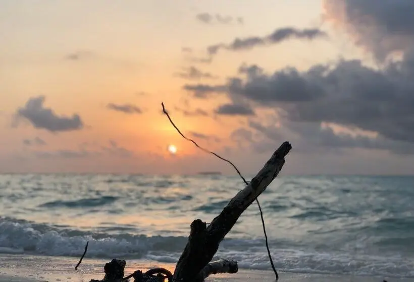 پانسیون Infinity Dhiffushi