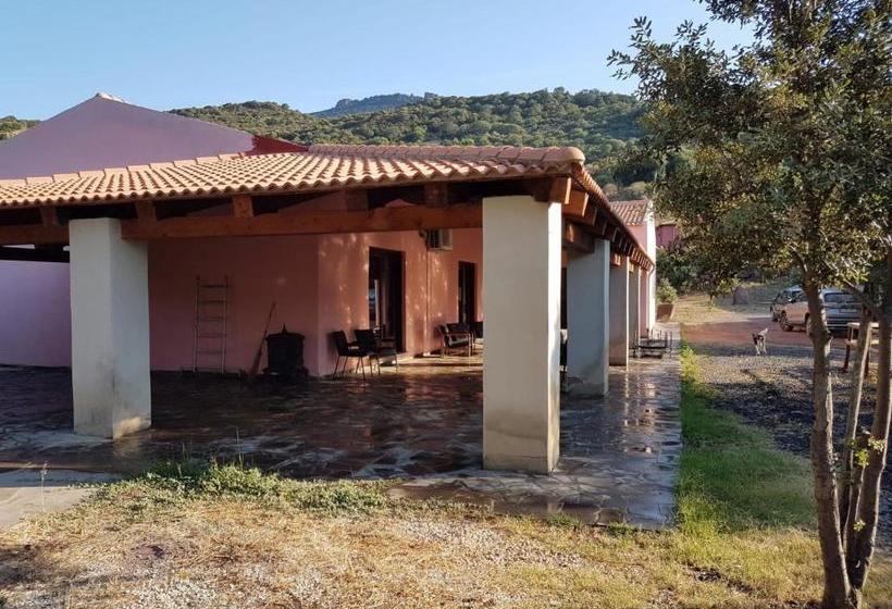 پانسیون S Abba Druche Rooms