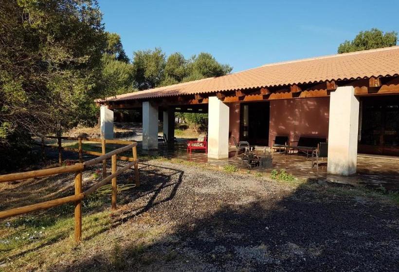 پانسیون S Abba Druche Rooms