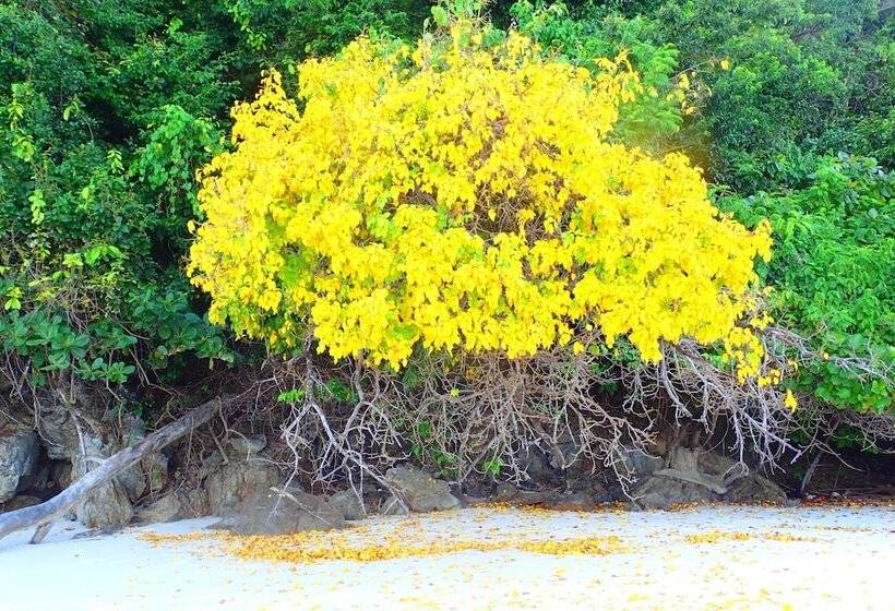 Victoria Cliff Resort Nyaung Oo Phee Island