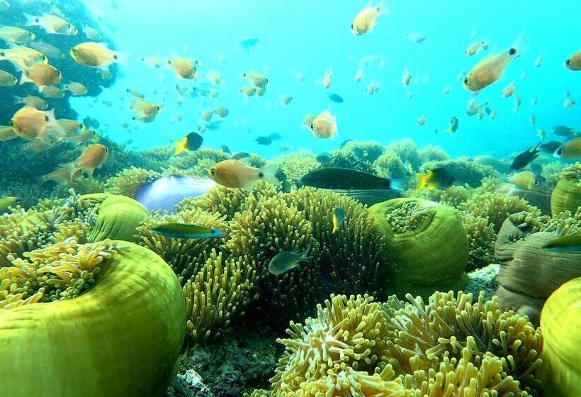 Victoria Cliff Resort Nyaung Oo Phee Island