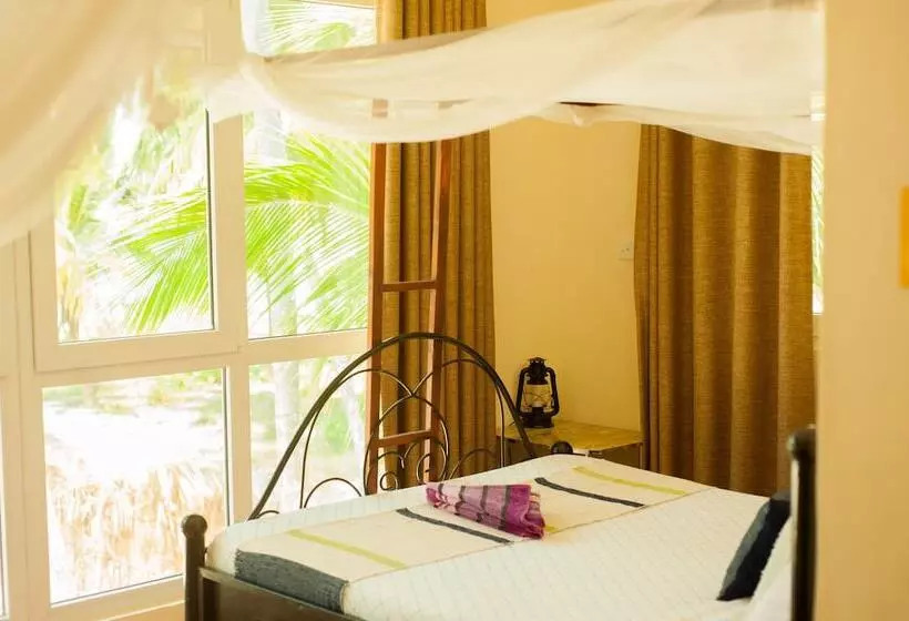 ペンション Bwejuu Beach Palm Villa