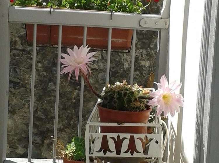 פנסיון Gîte D'étape Et De Séjour Le Regain