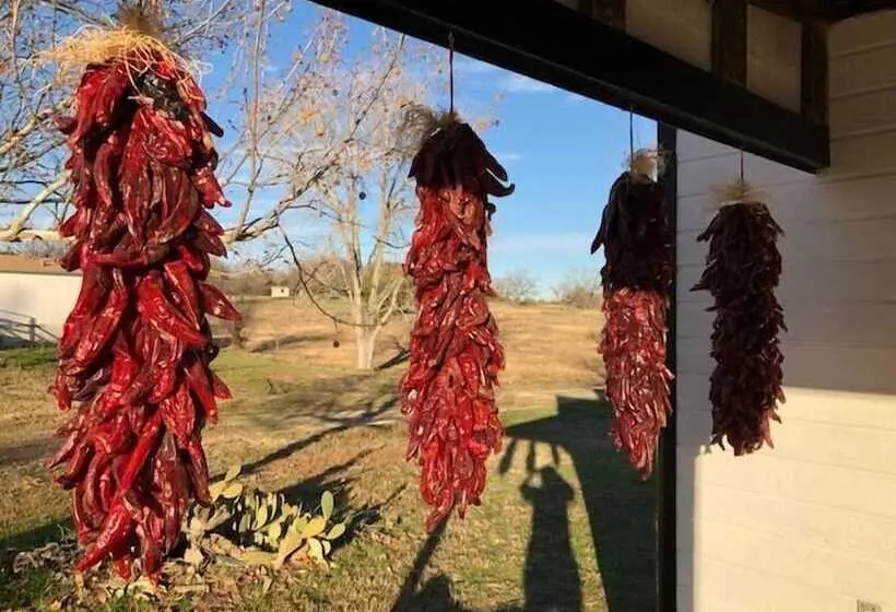 Hotelli Off The Vine