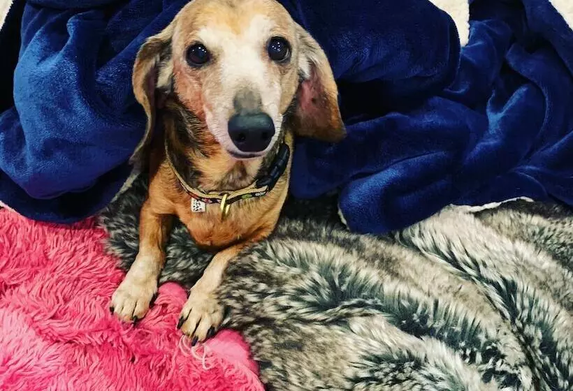 Hotelli Off The Vine