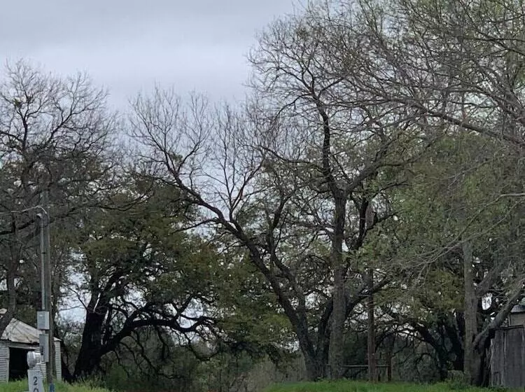 Hotelli Off The Vine