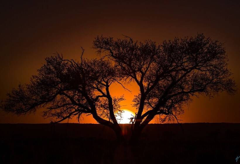 هتل Wolwedans Private Camp