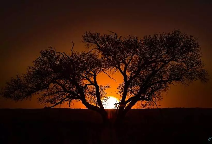 هتل Wolwedans Private Camp