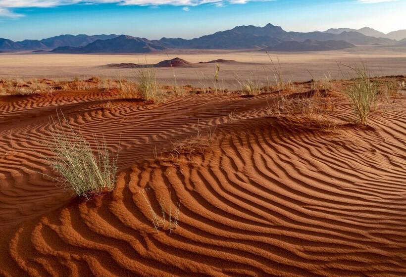 هتل Wolwedans Private Camp