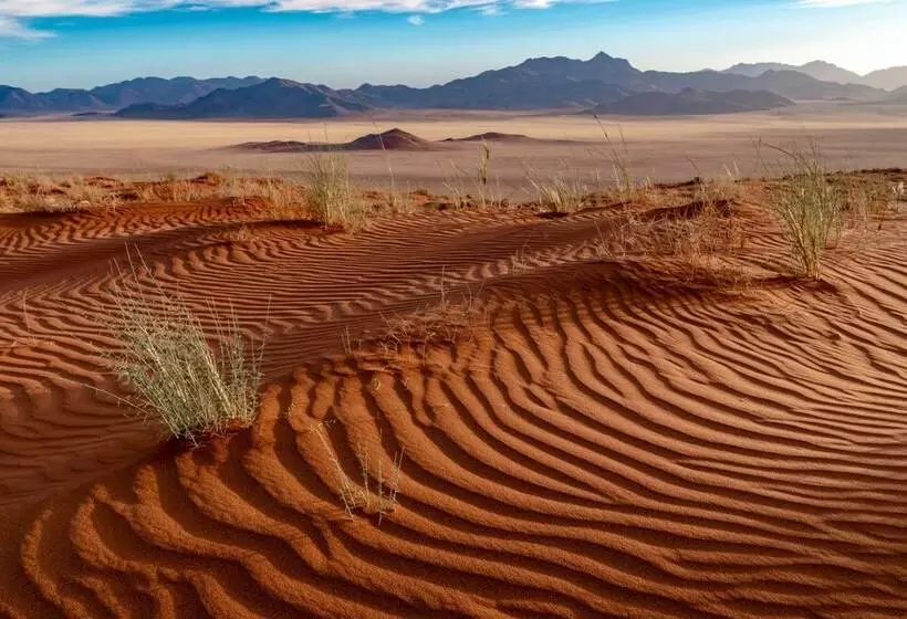 هتل Wolwedans Private Camp