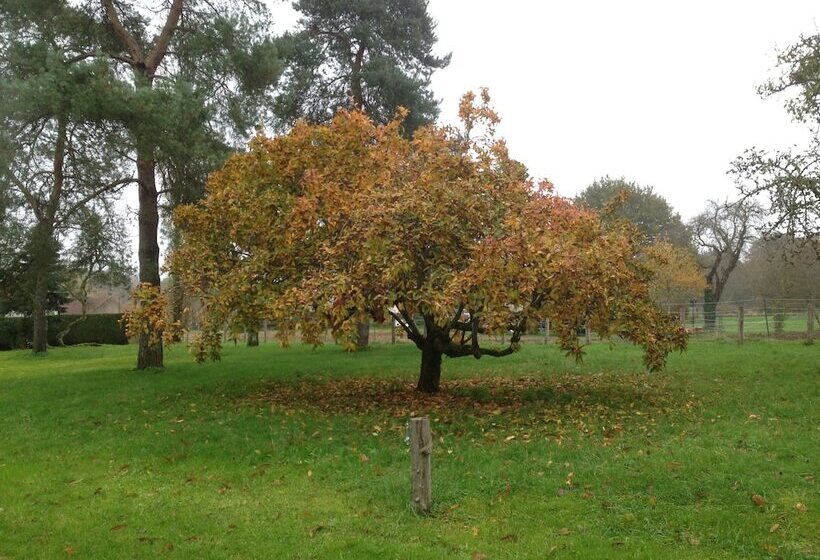 Pensionat Au Coq Des Bois