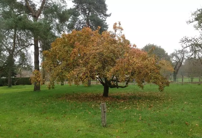 ペンション Au Coq Des Bois