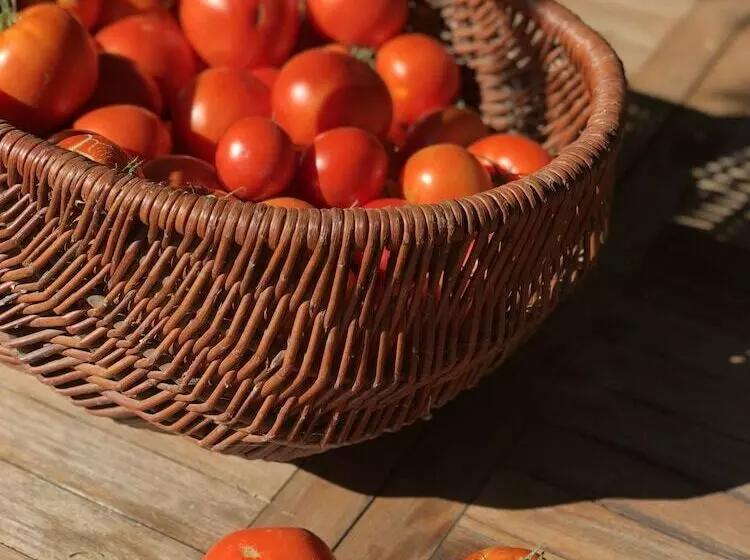 ペンション Au Coq Des Bois