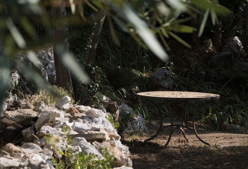 بنسيون Dans Les Nuages