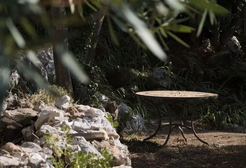 پانسیون Dans Les Nuages