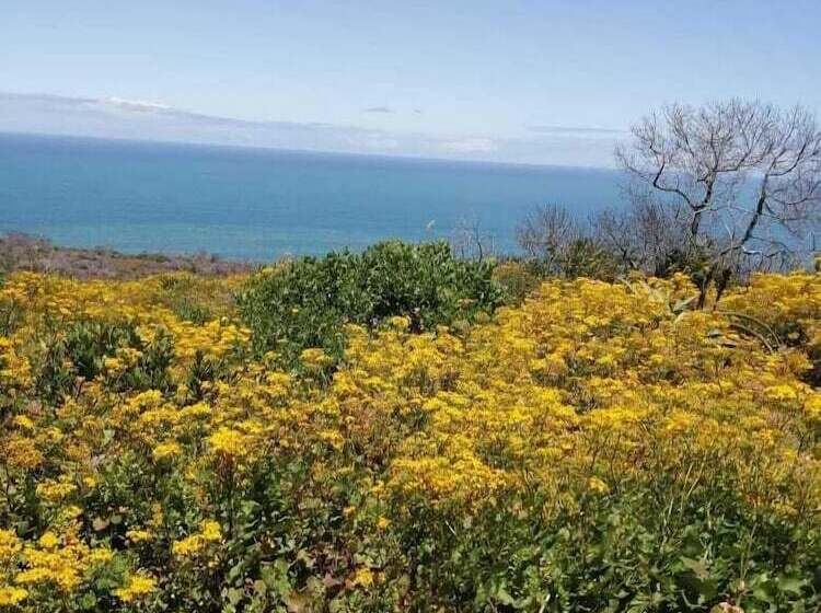 Отель Soul Rainbows End   Adults Only