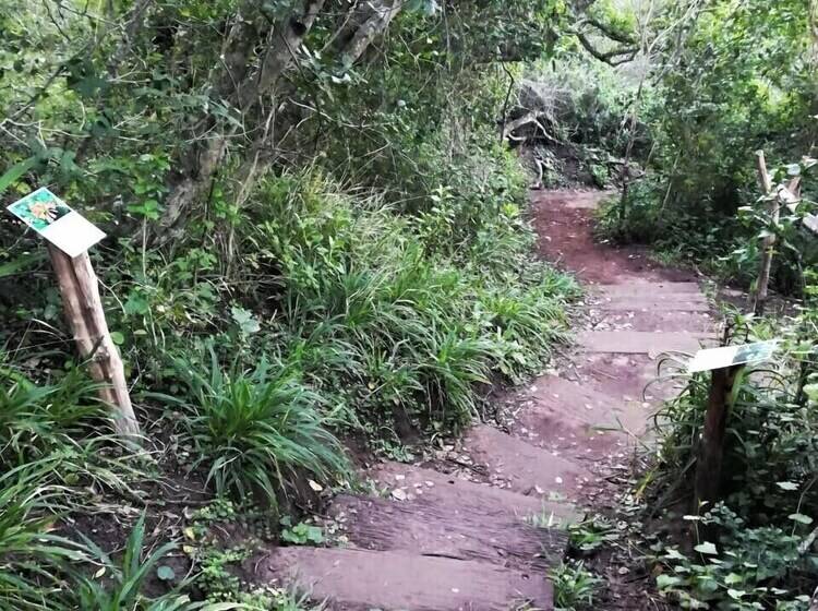 Отель Soul Rainbows End   Adults Only