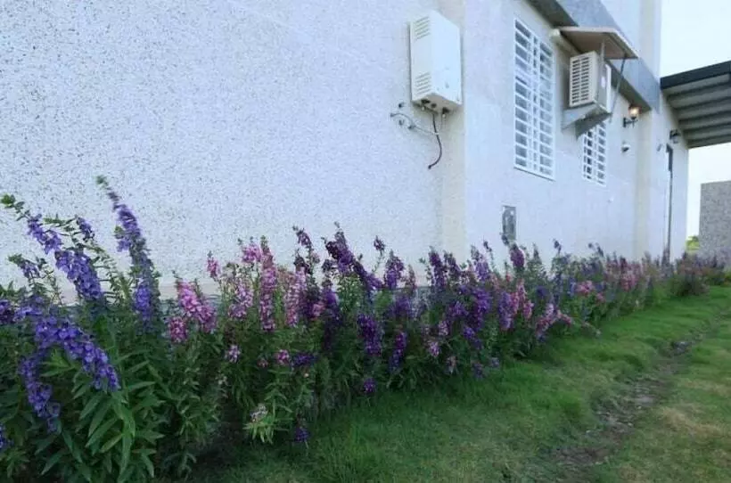 پانسیون 四季逗庭園民宿 All Around The Seasons B&b