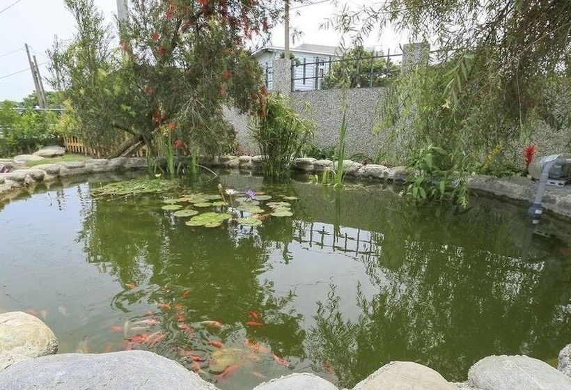 پانسیون 四季逗庭園民宿 All Around The Seasons B&b