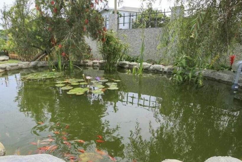 پانسیون 四季逗庭園民宿 All Around The Seasons B&b