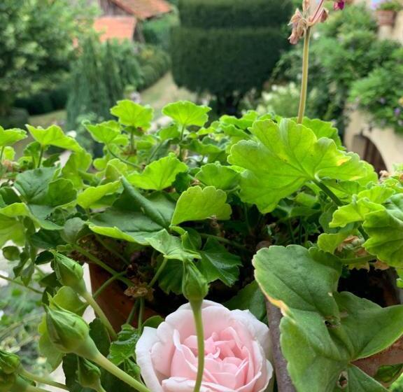 پانسیون Ferme De Tayac   Charme Avec Pool