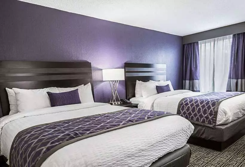 酒店 Clarion Inn & Suites Near Downtown