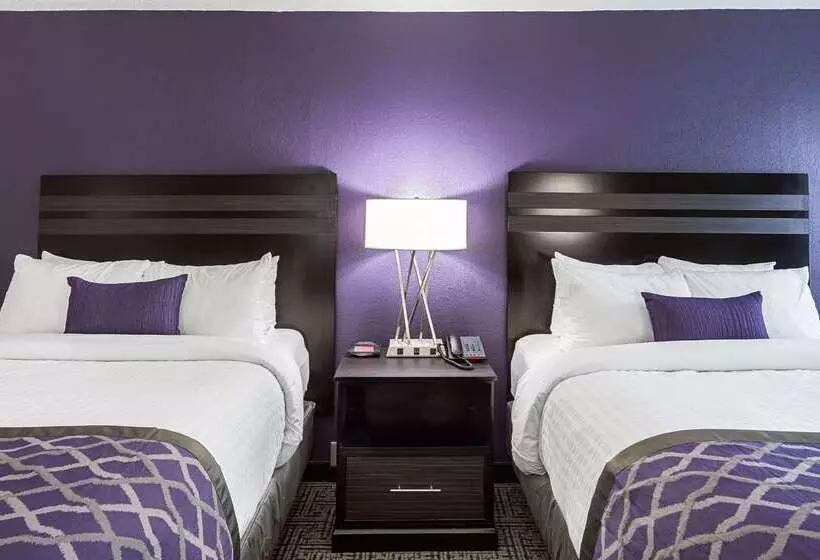 酒店 Clarion Inn & Suites Near Downtown