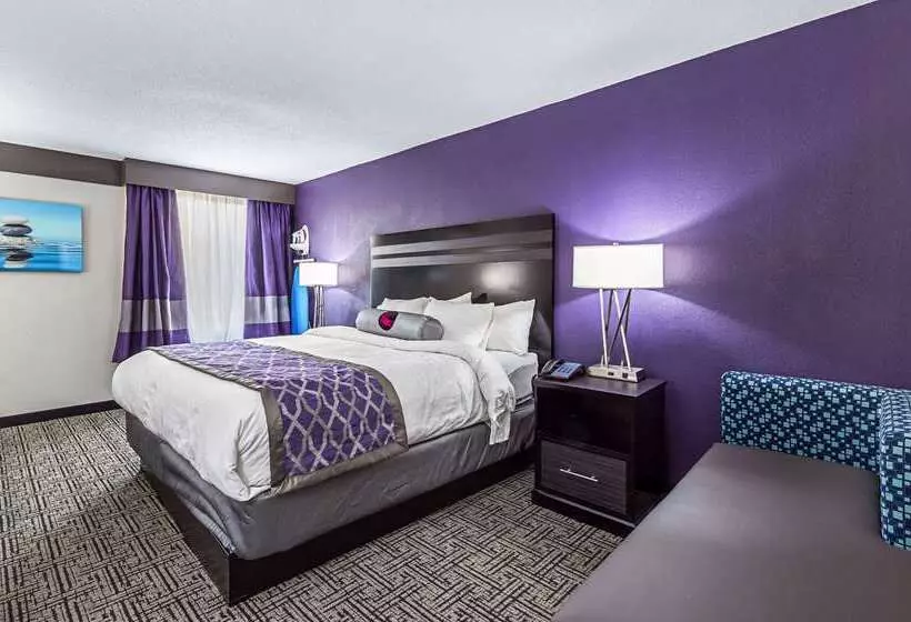 酒店 Clarion Inn & Suites Near Downtown