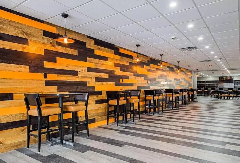 酒店 Clarion Inn & Suites Near Downtown