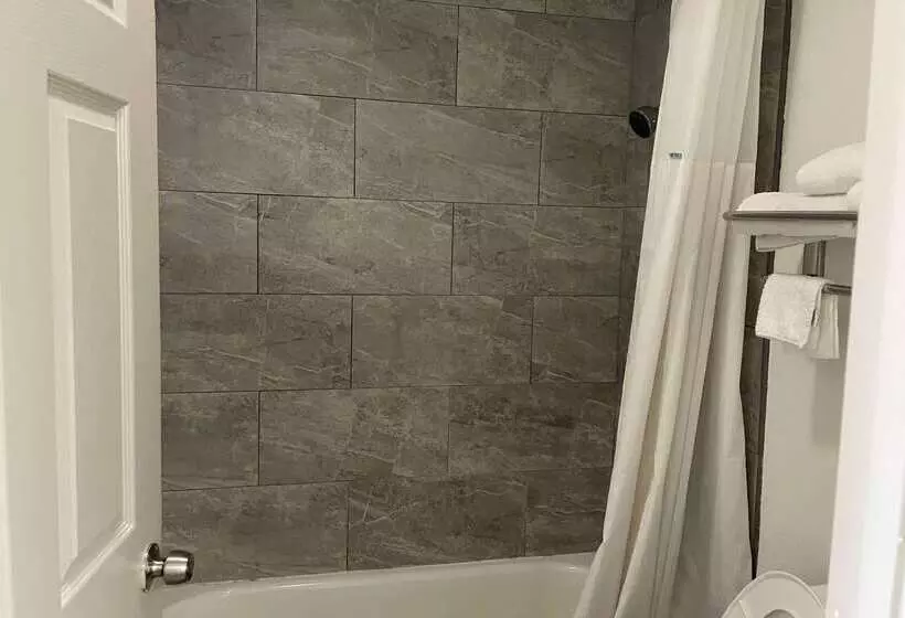 ホテル Days Inn By Wyndham San Antonio Southeast Frost Bank Center