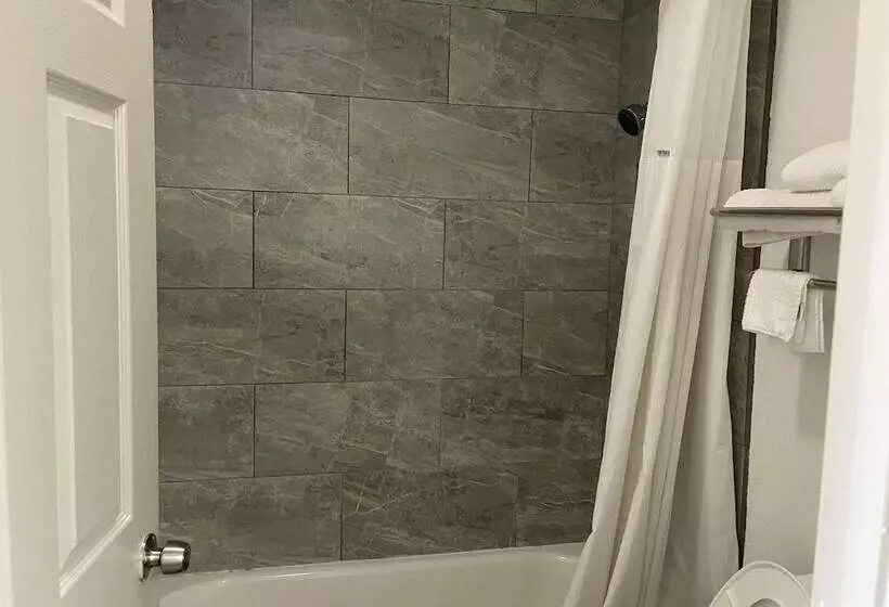 ホテル Days Inn By Wyndham San Antonio Southeast Frost Bank Center