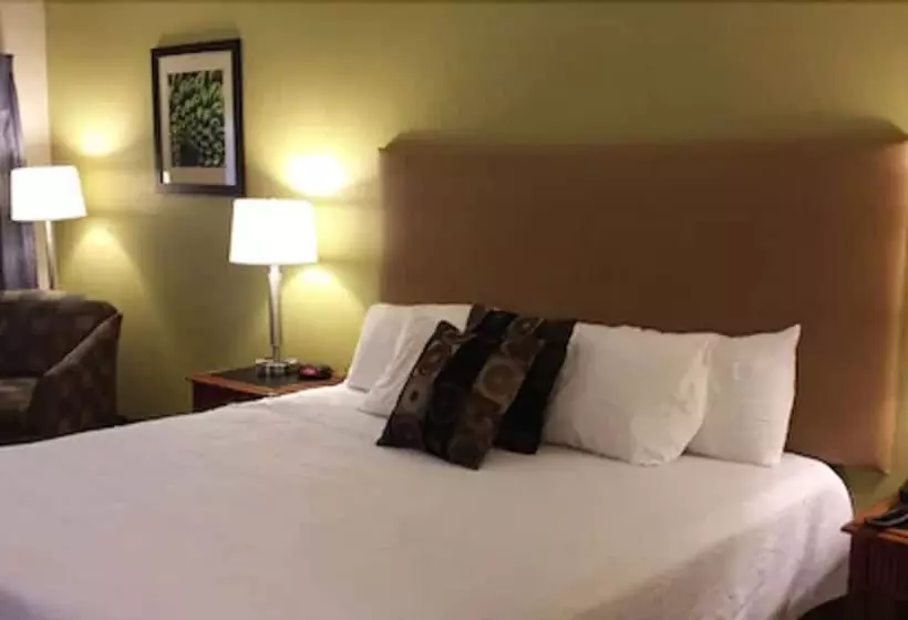 Hotelli Wingfield Inn