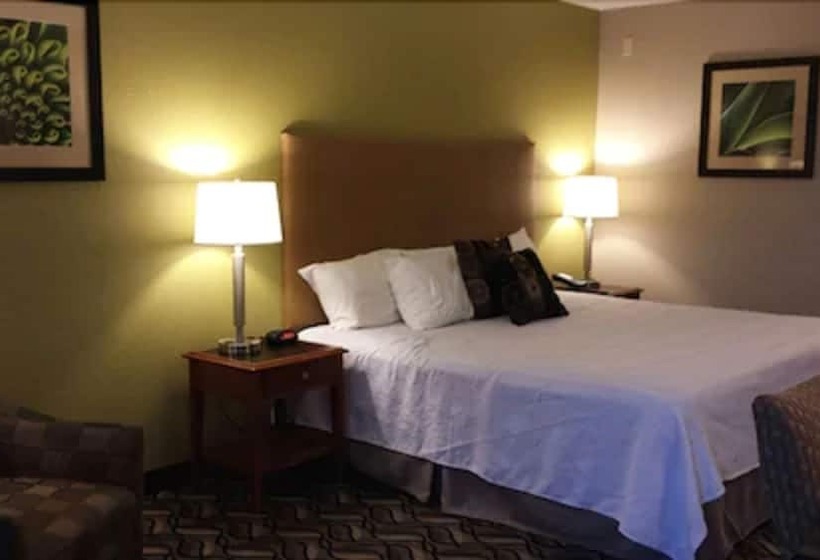 فندق Wingfield Inn