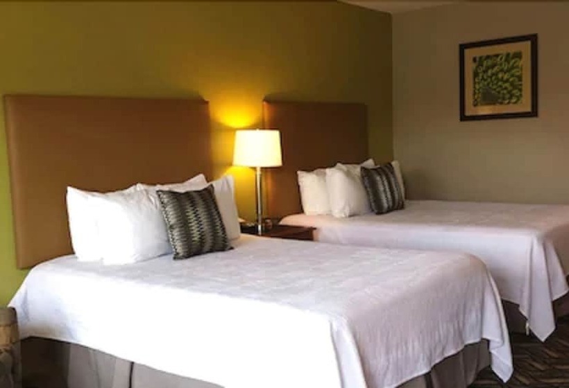 فندق Wingfield Inn