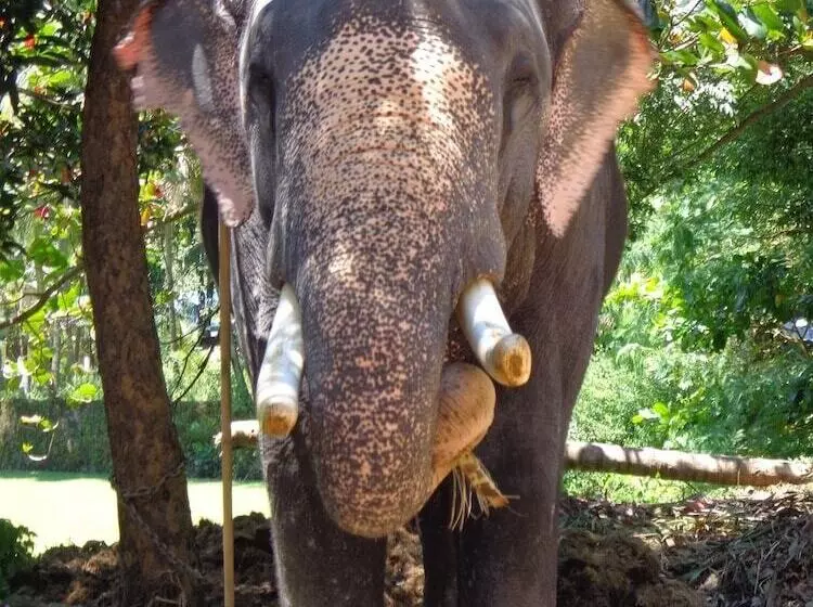 Hotelli Brahmaputhra