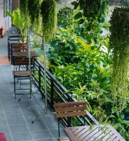 هتل Catba Oasis Bungalows