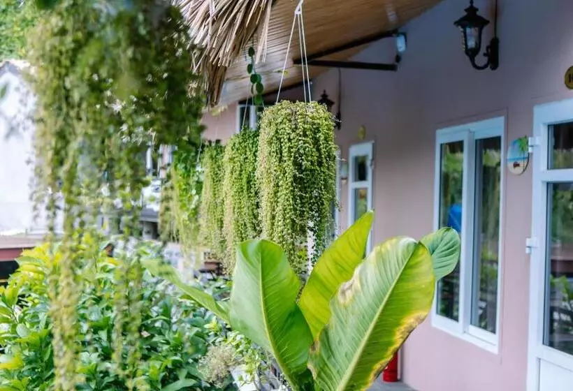 هتل Catba Oasis Bungalows