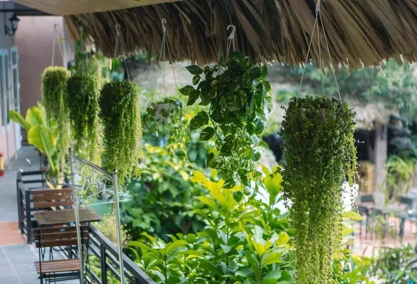 هتل Catba Oasis Bungalows